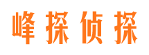 高要市调查公司